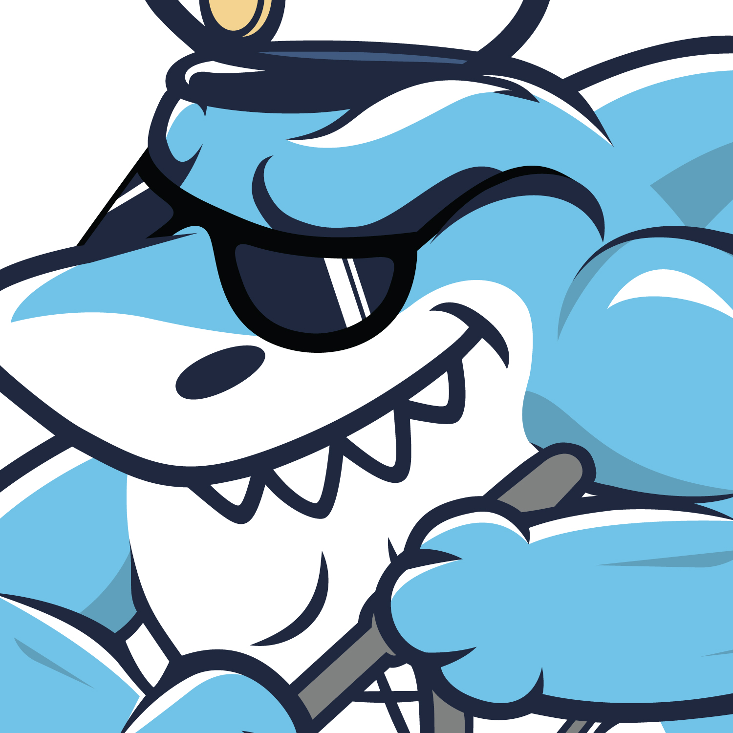 The Saltbusters Team